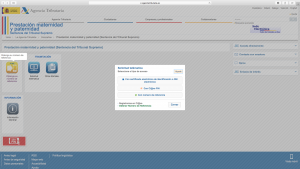 solicitud telematica prestación maternidad 